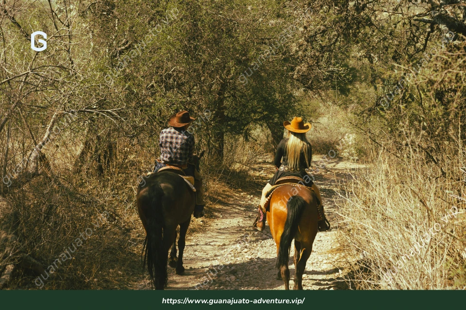 Aventura ecuestre Sierra de Santa Rosa