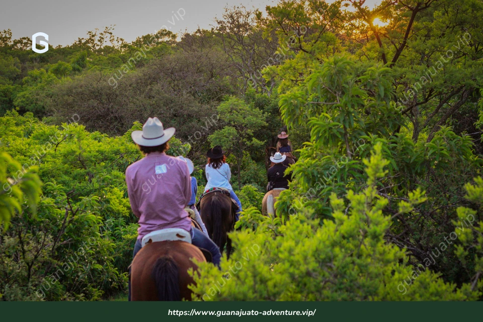 Bosque a caballo en Guanajuato